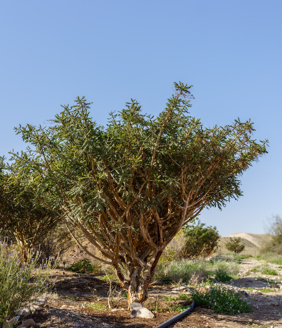 תמונה של מקום 